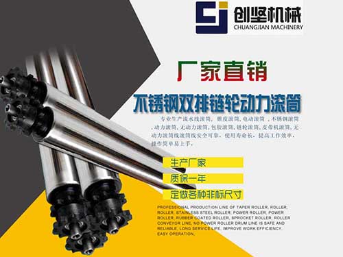 不锈钢双排链轮动力滚...